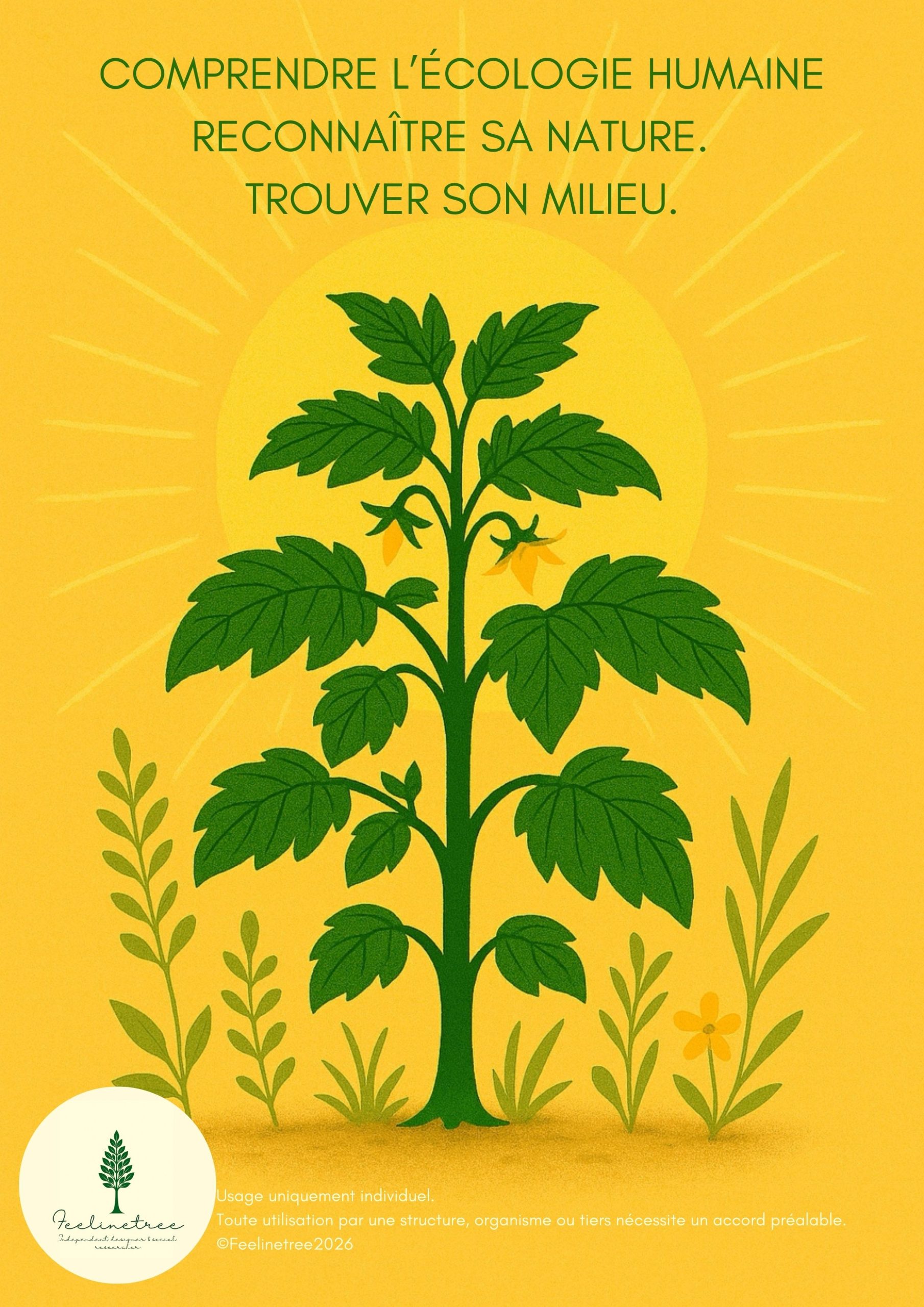 Guide - Human ecology - Image 5